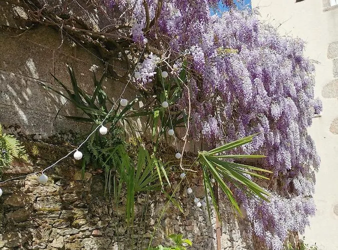 Duplex INDEPENDANT Centre ville