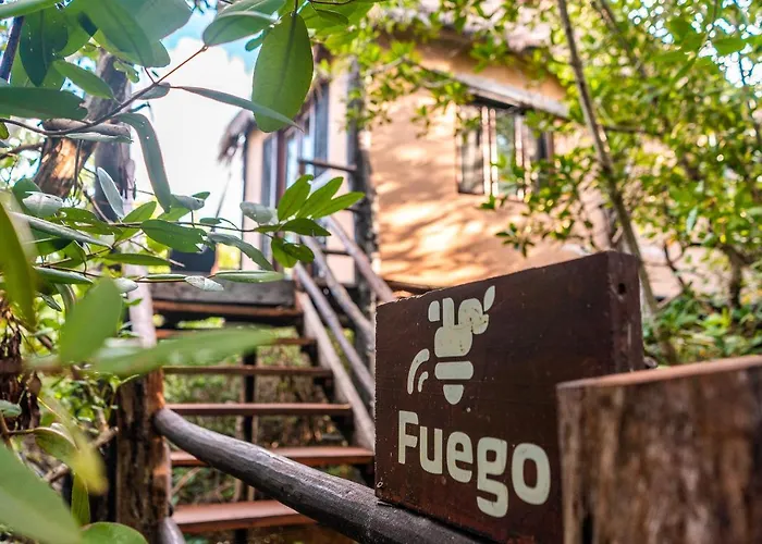 Manglex Eco Tulum