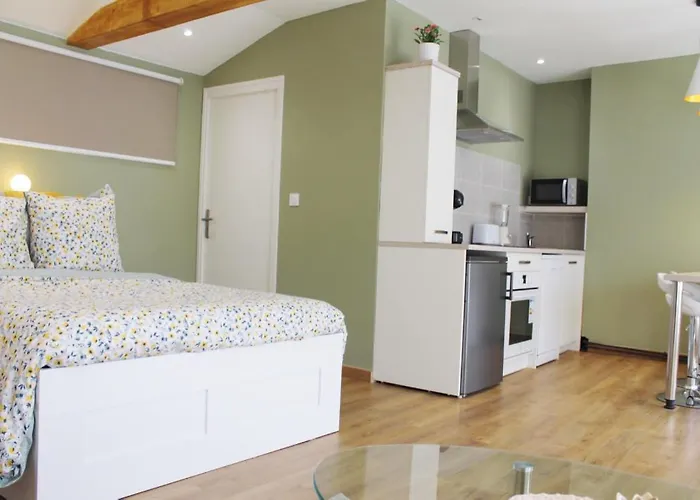 Saint Etienne : appartement Châteaucreux 40 M2