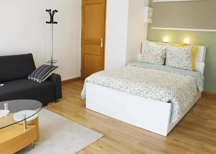 Saint Etienne : appartement Châteaucreux 40 M2