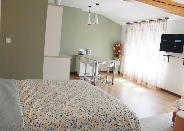 Saint Etienne : appartement Châteaucreux 40 M2
