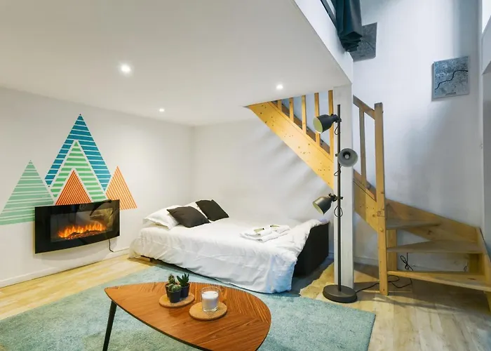 Large And Calm Flat In The Heart Of Lille - Welkeys