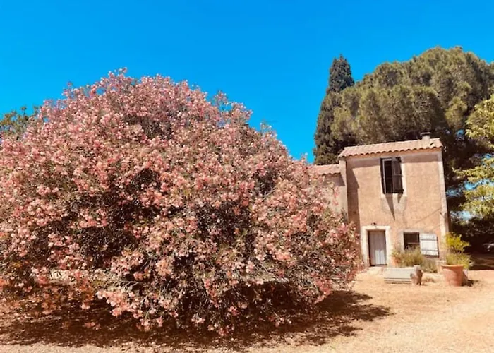  Casa Cote Sud - Mas Bois Fontaine