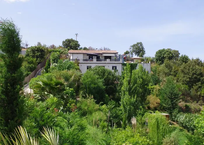 Appartement F2 Avec Terrasse De 35 M2 Bomorto - Porticcio