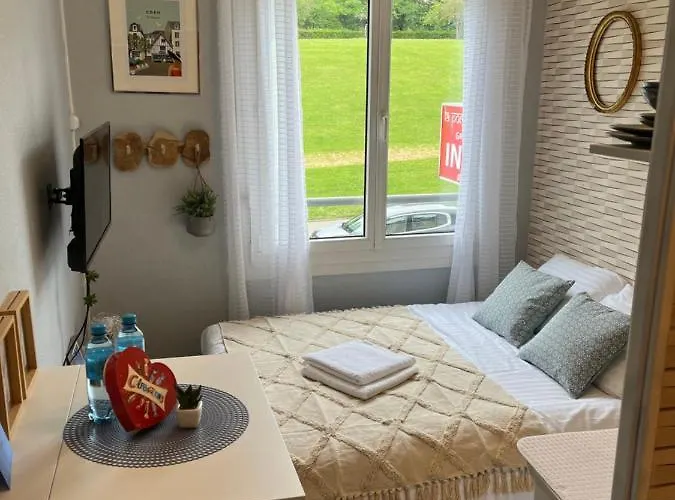 Face Au Chateau , Chambre Hyper Centre