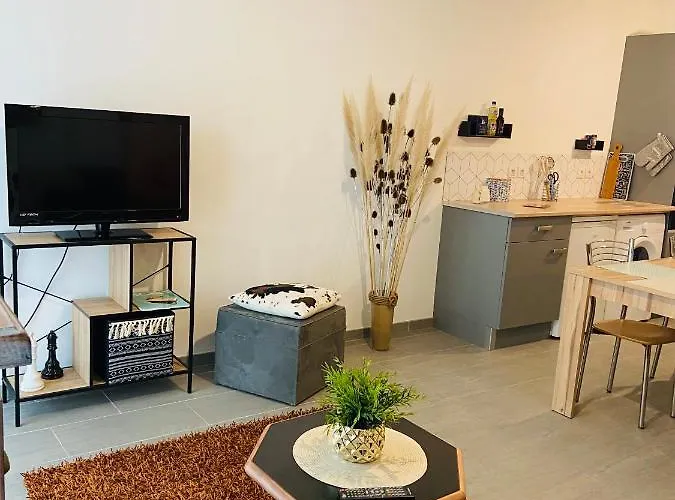 Appartement Avec Parking