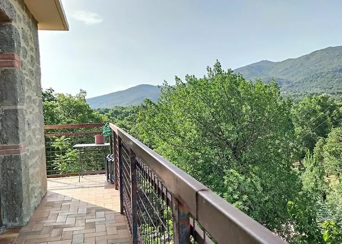 Les Pierres De La Massane - Vue sur les Albères