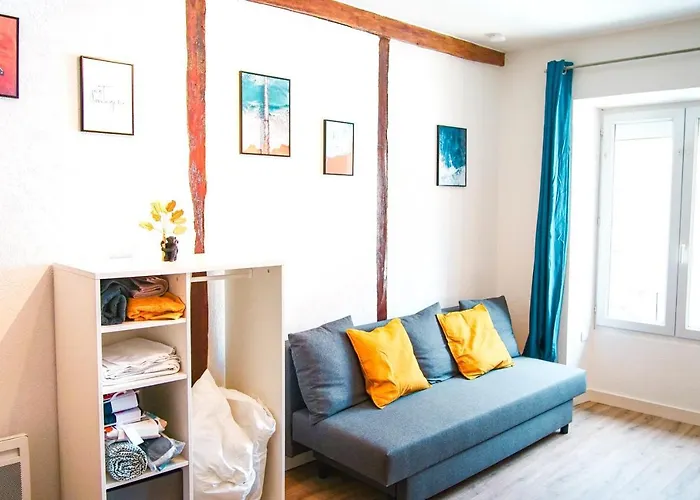 Le Tourangeau - Grand Studio Cosy En Hypercentre