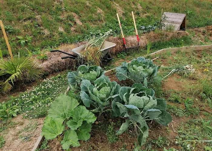 Gite Nature, "Cultivons Le Partage"