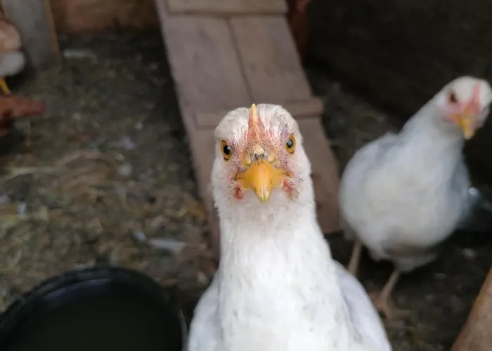 Gite Nature, "Cultivons Le Partage"