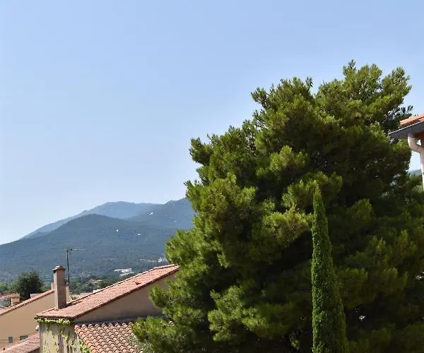 Argeles Sur Mer - Bel Appartement
