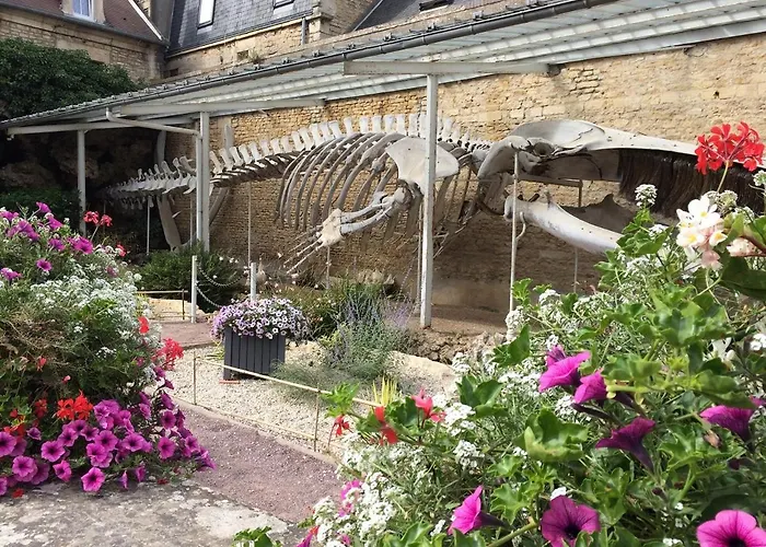 Maison,appartement de charme bord de mer - Avec jardin et wifi