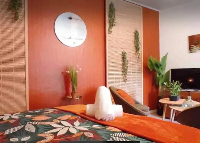 Studio Terracotta Renove B5