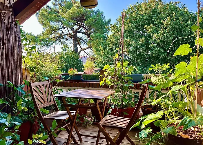 Nature & Sun, Natural Lifestyle - Hossegor