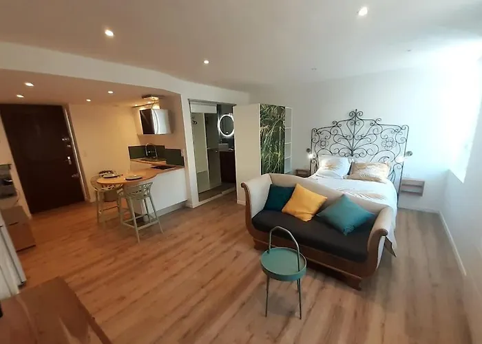 Classé 3 Etoiles IDEAL VIENNE Centre ville 20 min de LYON