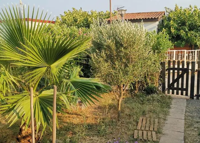 Chalet en bois Le Libellule