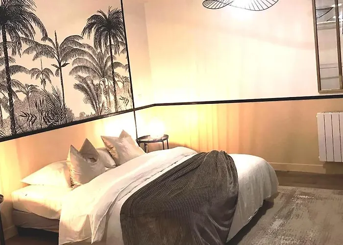 T2 Cosy Au Coeur De Montelimar