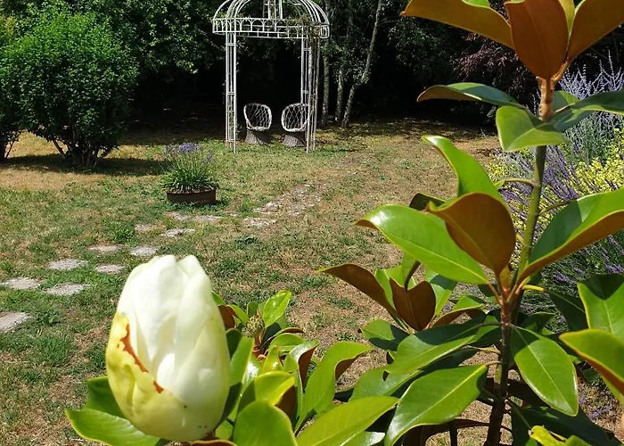 La Maison Des Thermes, Chambre D'Hote