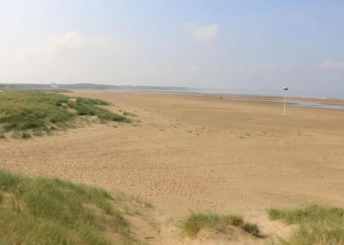 Vaimiti, cabane cosy sous les pins (50m de la plage)
