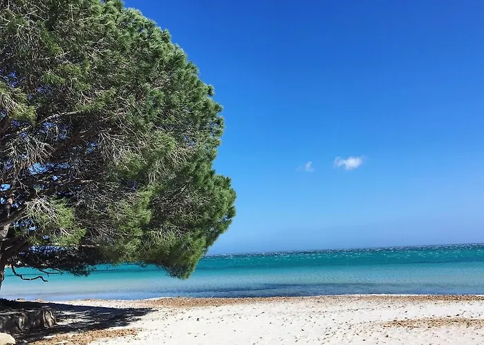 Appartement proche des plus belles plages