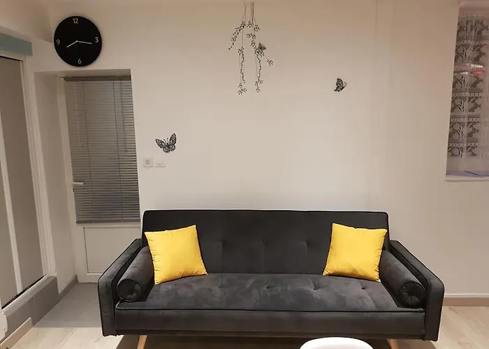 Studio Place De La Barre Le Cosy
