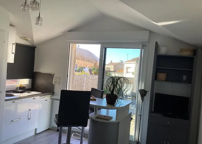 Chaleureux T2 30 m2 et sa terrasse bois 18 m2