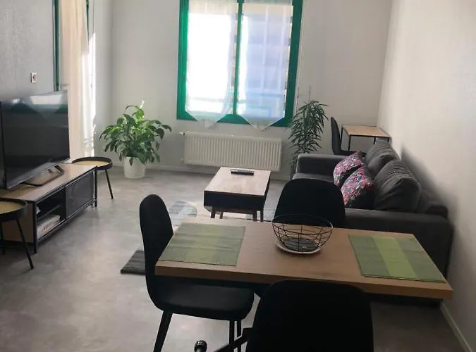 Superbe Appartement En Plein Centre Ville.