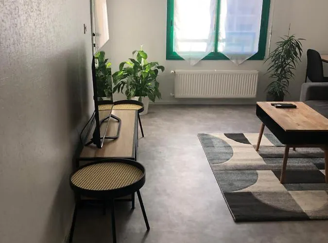 Superbe Appartement En Plein Centre Ville.