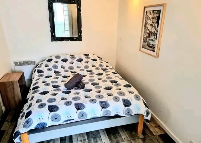 Bel Appartement Perpignan Plein Centre