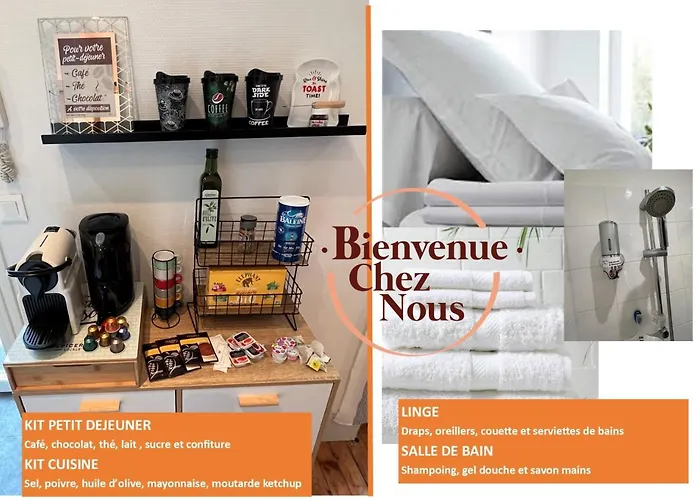 Studio Rue Ramond Centre Ville