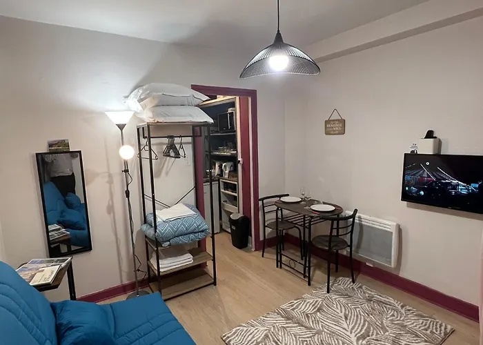 Studio Rue Ramond Centre Ville