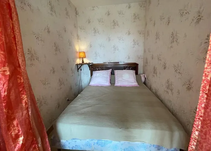 Studio Cabine A 2 Pas De La Plage, Parking Et Animaux Admis - Fr-1-225D-142