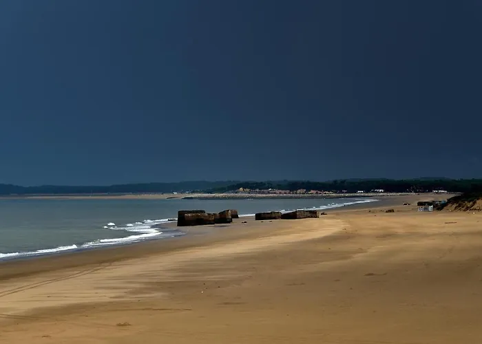 Studio Dunes aux Ecureuils