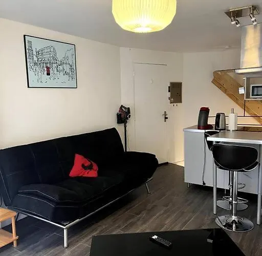 Appartement climatisé ALBI - Centre