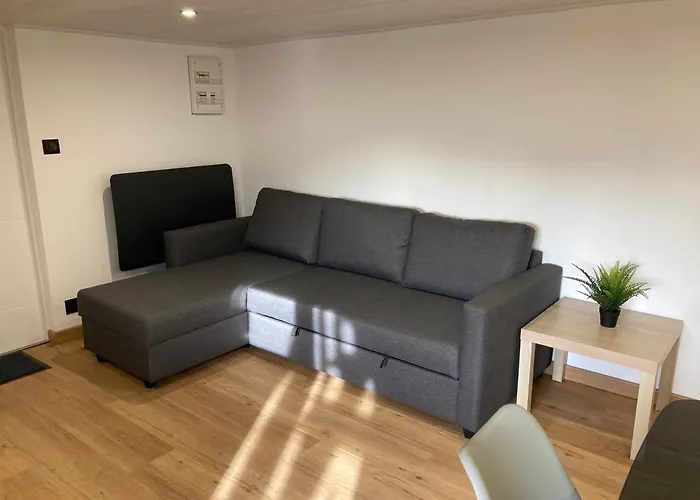 Appartement Chaleureux Proche Centre