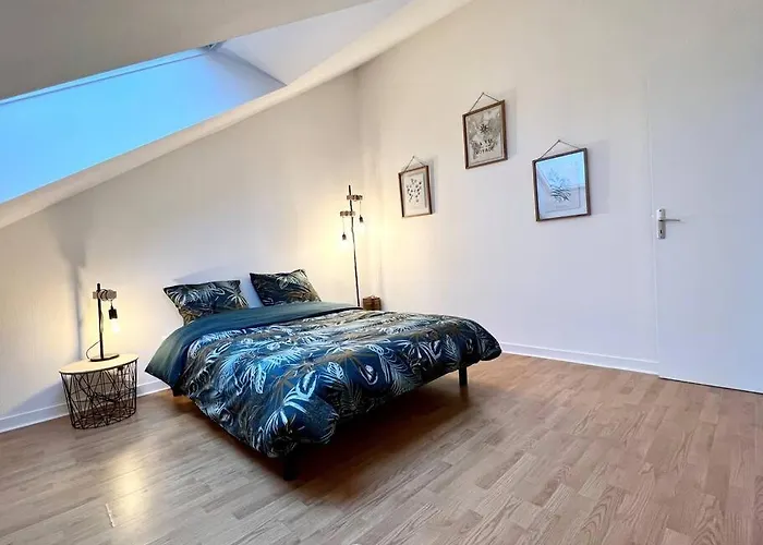 Appartement T3 Coeur De Dinan