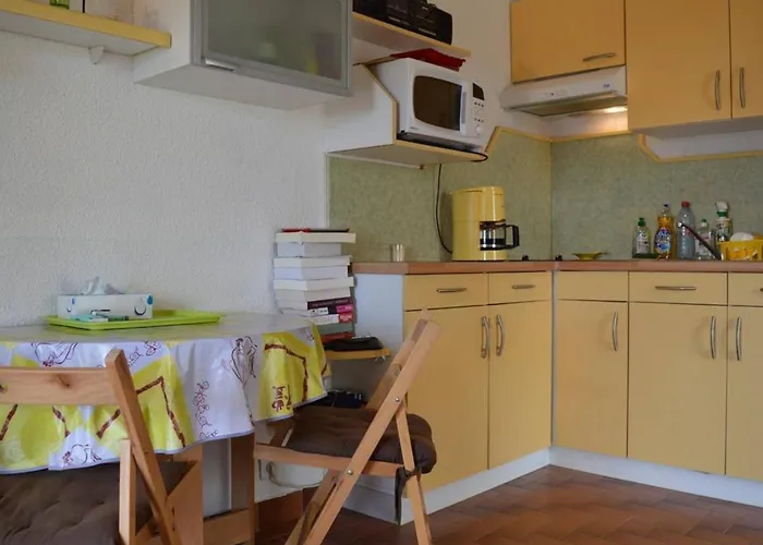 Studio Climatise Avec Terrasse A Saint-Cyprien - Animaux Admis, Parking - Fr-1-225D-434
