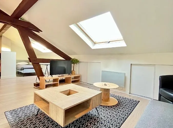 Pin's - Magnifique appartement