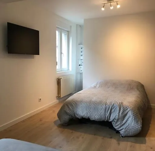 Appartement Moderne & Lumineux 40M2 Centre Luxeuil