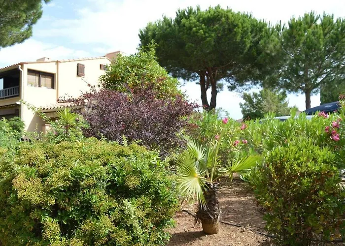 Studio Climatise Avec Terrasse A Saint-Cyprien - Animaux Admis, Parking - Fr-1-225D-434