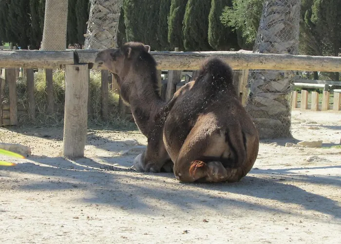Mobilhome Doudou
