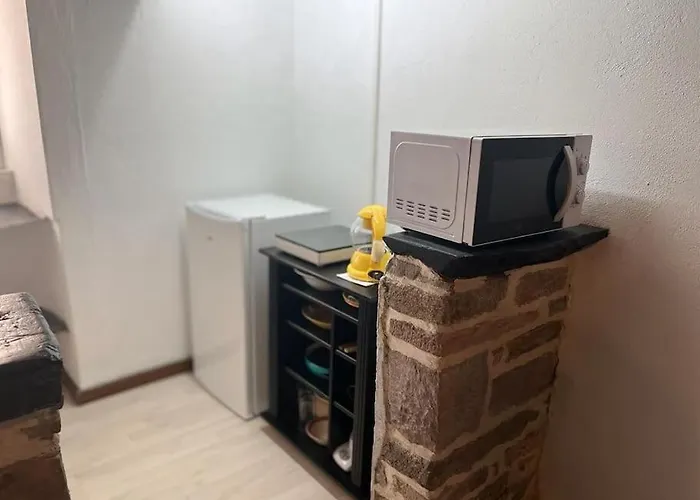 Newly Renovated Studio