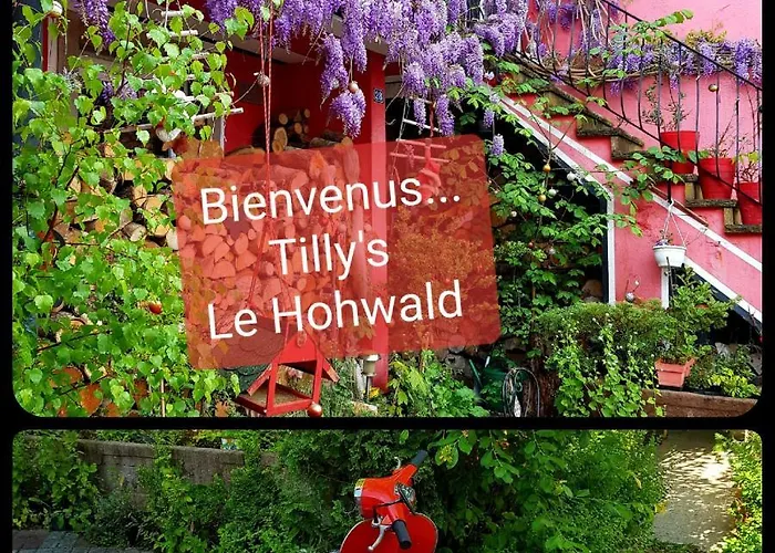 Tilly'S B&B And Apartment House