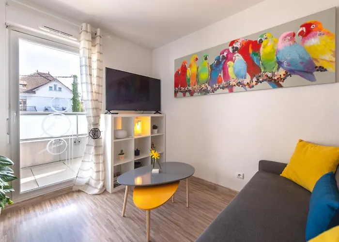 Studio Cosy les Perruches