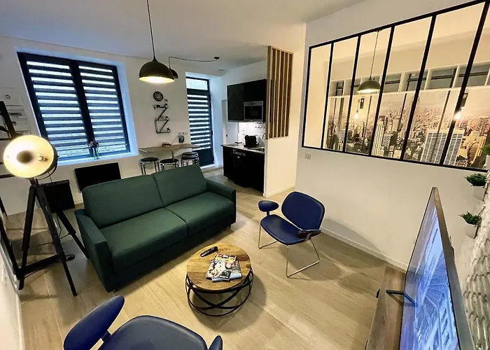 Hypercentre De Vienne Appartement Contemporain Proche Lyon