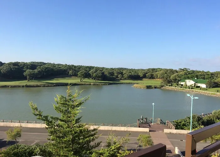Le Hameau Des Pins - Le Clos Du Chene Vert