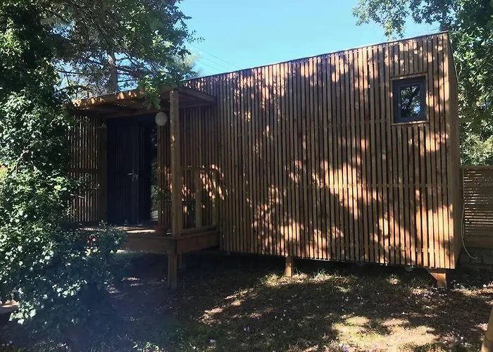 Ma cabane sous les arbres