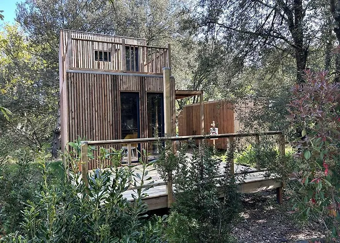 Ma cabane sous les arbres