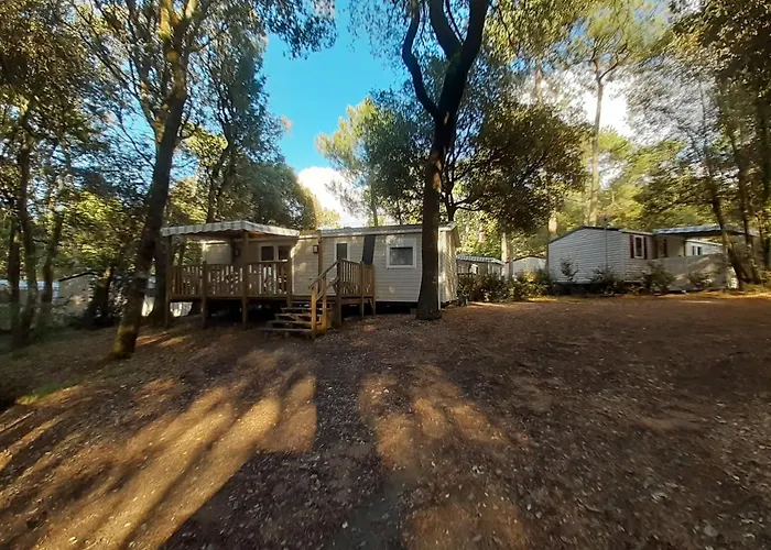 Location F01B Mobil Home Excellence Range At Les Pierres Couchees 4