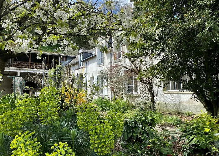 Gîte rénové avec piscine au cœur de Vendôme